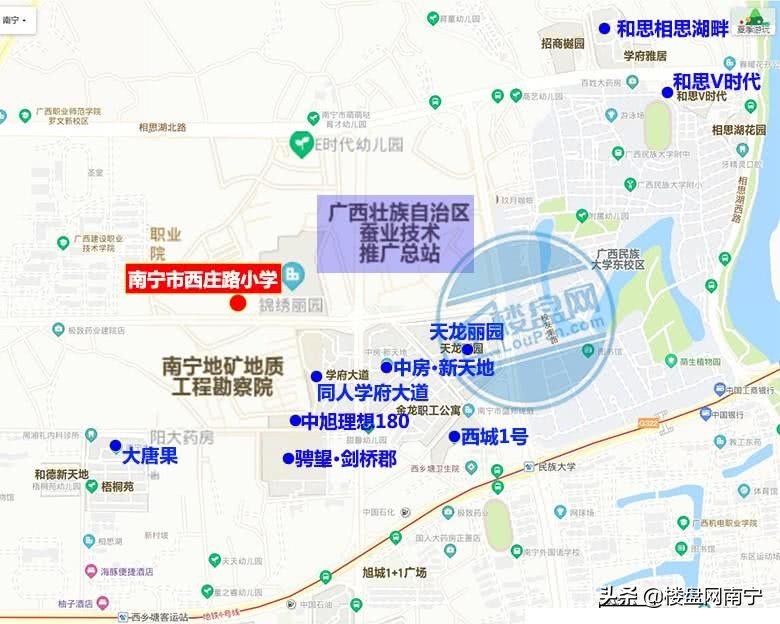 2019年南宁西乡塘区小学地段划分,西乡塘区的小学都是按地段吗