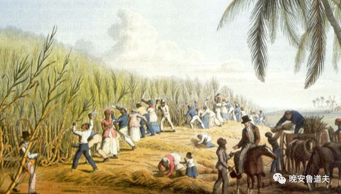 巴西国宝鸡尾酒——卡琵莉亚（Caipirinha）