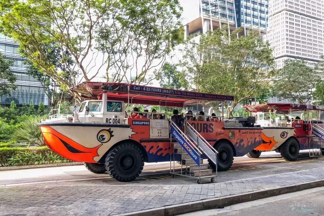 新加坡遛娃最佳地点,新加坡遛娃的好去处