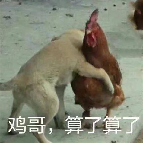 用什么app可以找回删除的照片,有什么软件可测试有没有被删