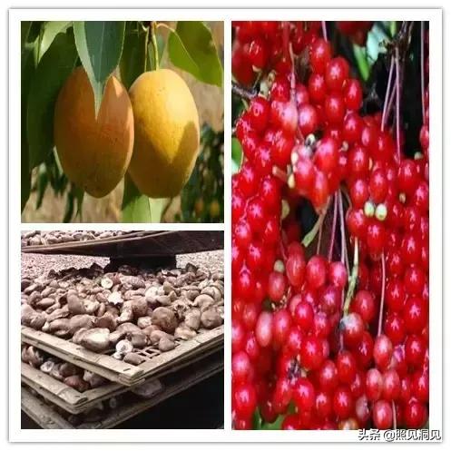 从长春出发去哪玩便宜,长春1000元的旅行攻略