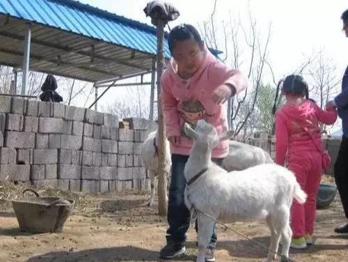 在大连去旅顺华酝牡丹园坐什么车,大连旅顺华酝牡丹园几月份适合去