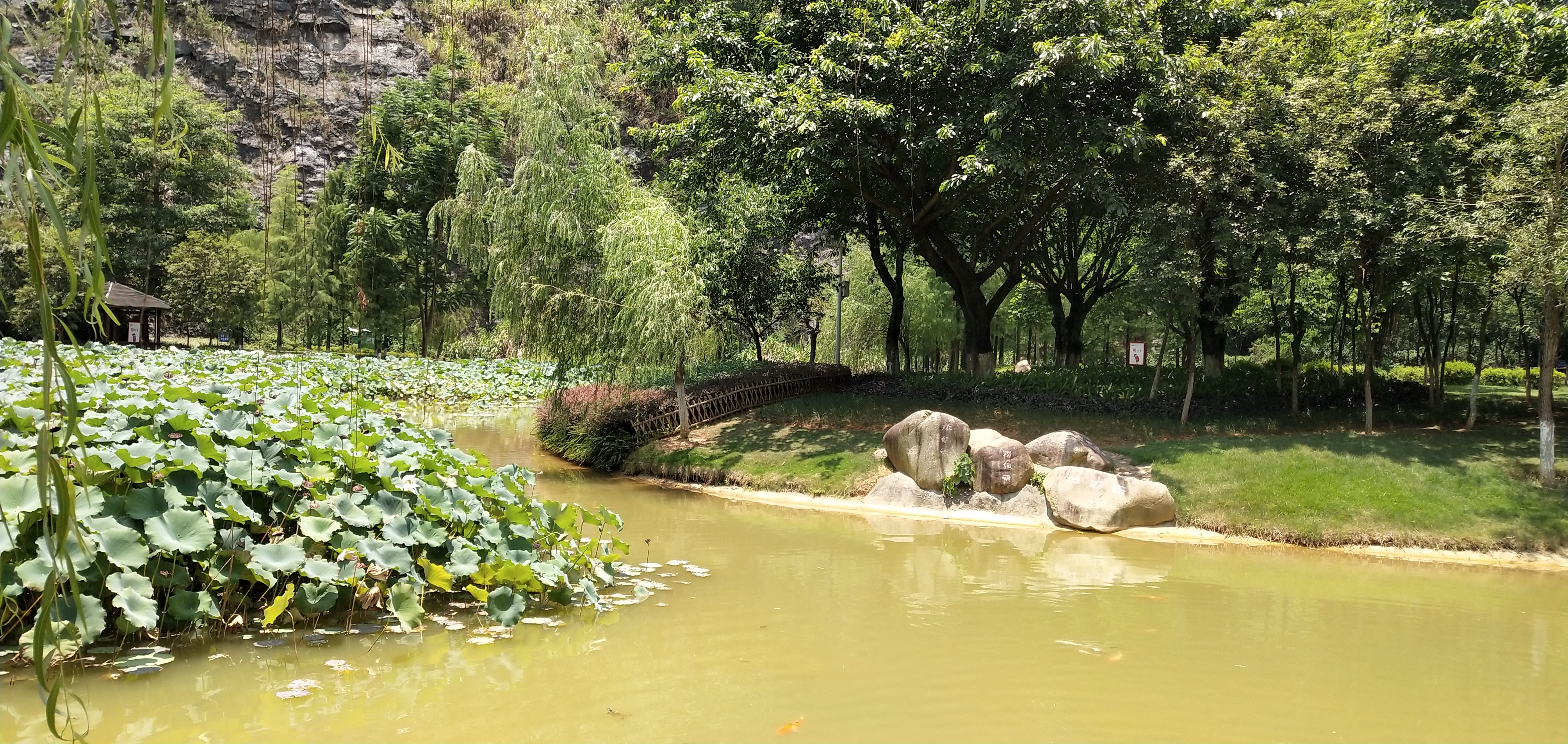 韶关旧貌与新貌,韶关生态环境与治理