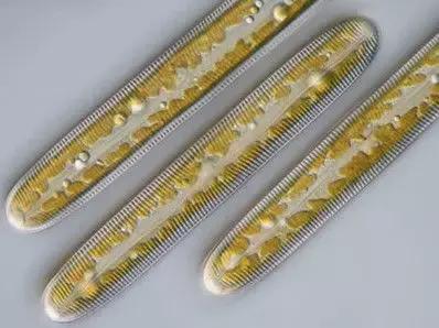 水产养殖藻类老化是怎样的,水产养殖显微镜下各种藻类