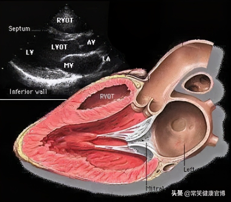 总是咳不停有时伴有发烧,反复低热寒颤