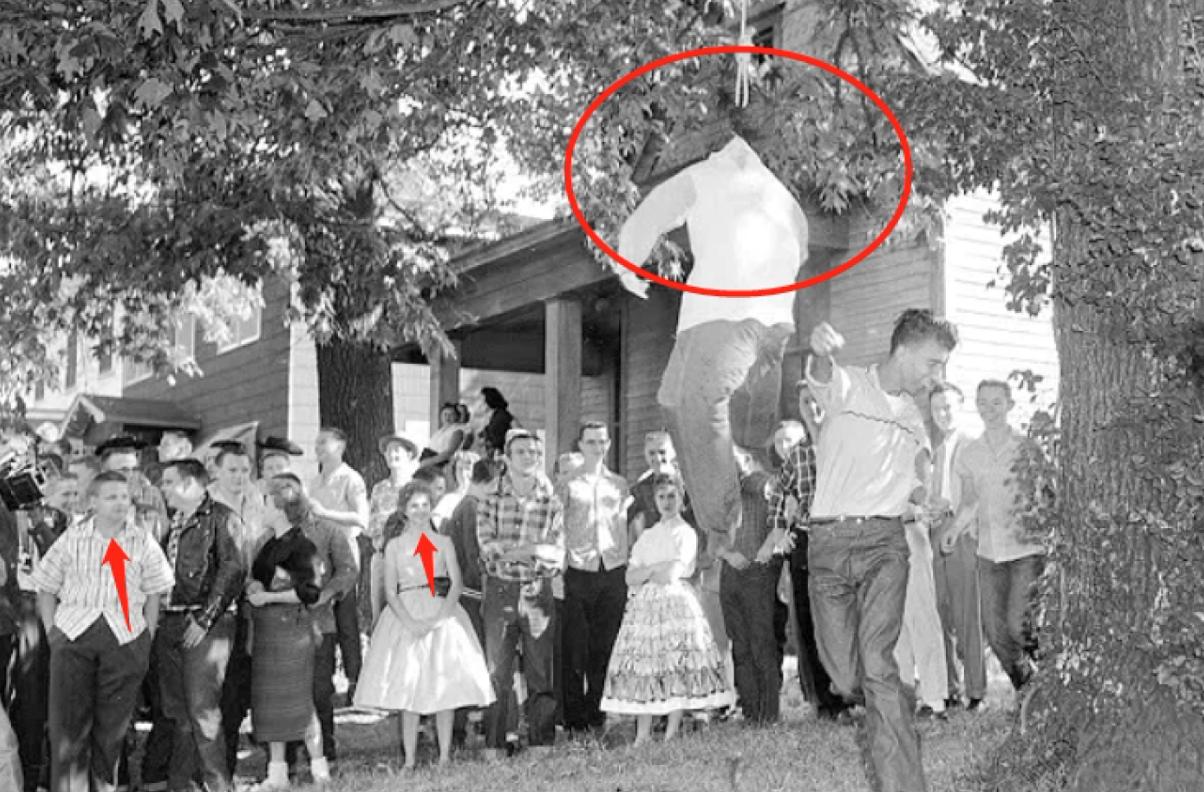 乌合麒麟发布新作血棉行动,乌合麒麟怒揭血棉真相