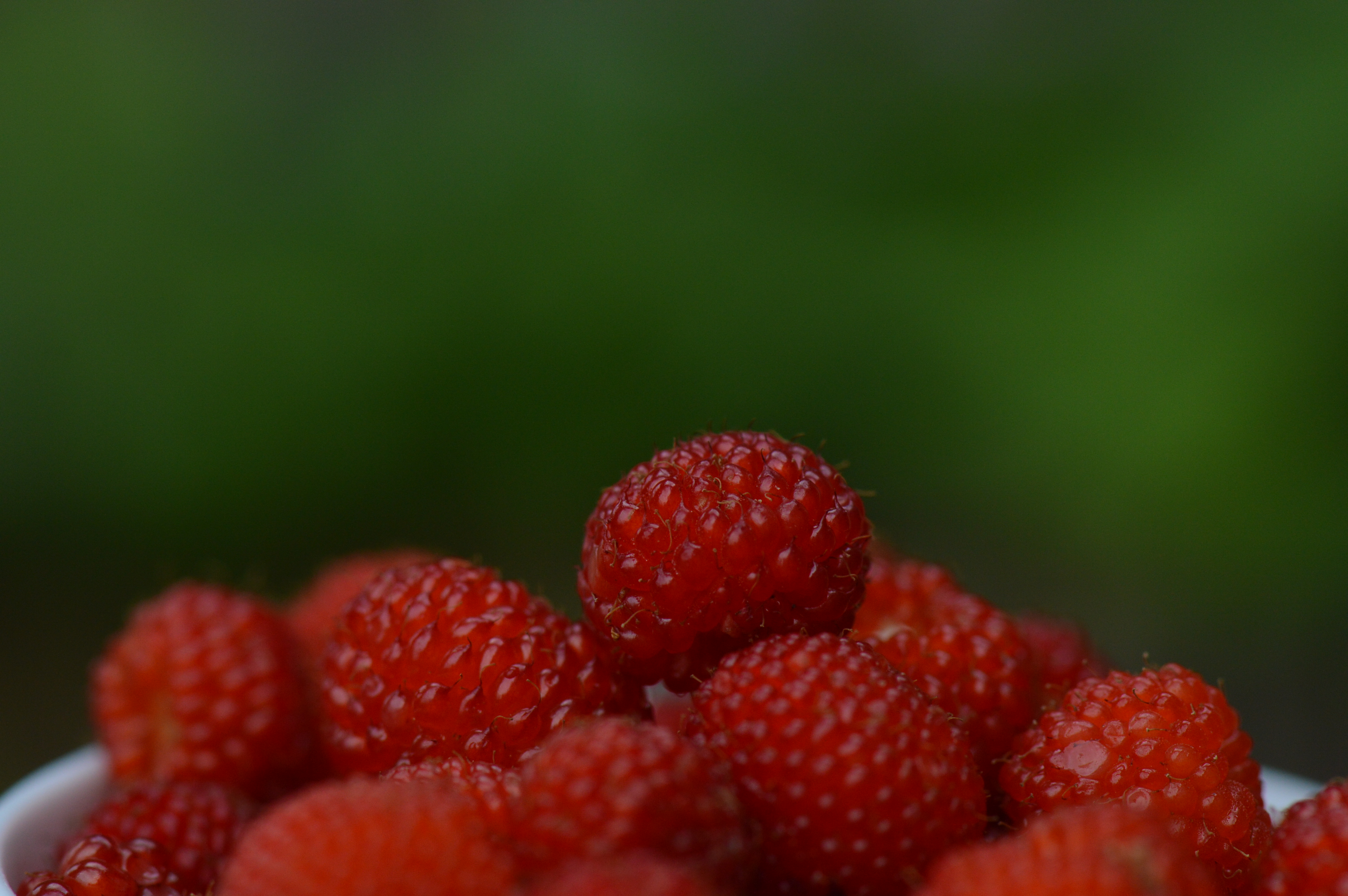 鲜果时光｜五月，覆盆子一熟，江南就甜了