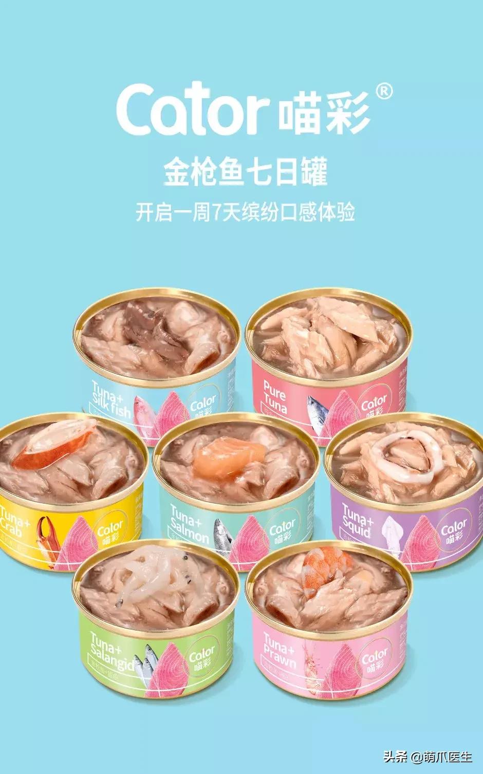 猫咪天天跑去喂鱼,猫咪不吃东西喝汤能喝饱吗