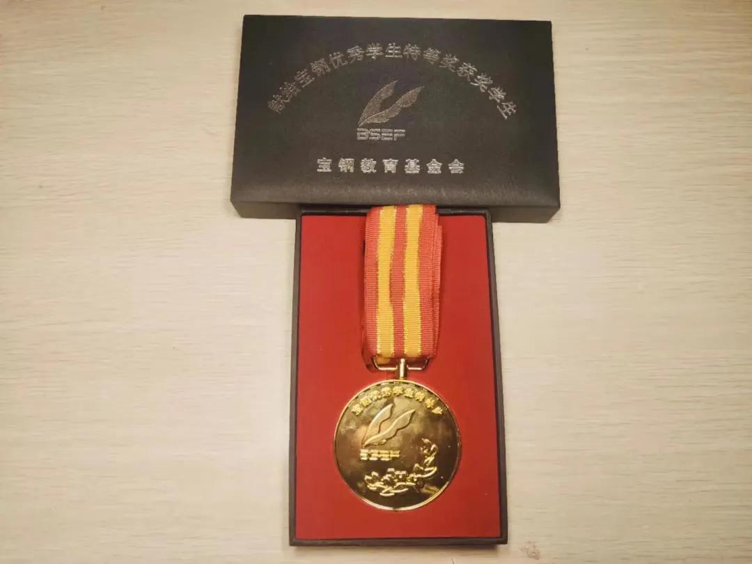 河南宝钢优秀学生特等奖,宝钢优秀学生特等奖