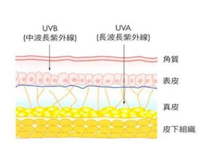 脸上痘印多久会自行消失,在脸上挤痘痘留下的痘印会消失吗