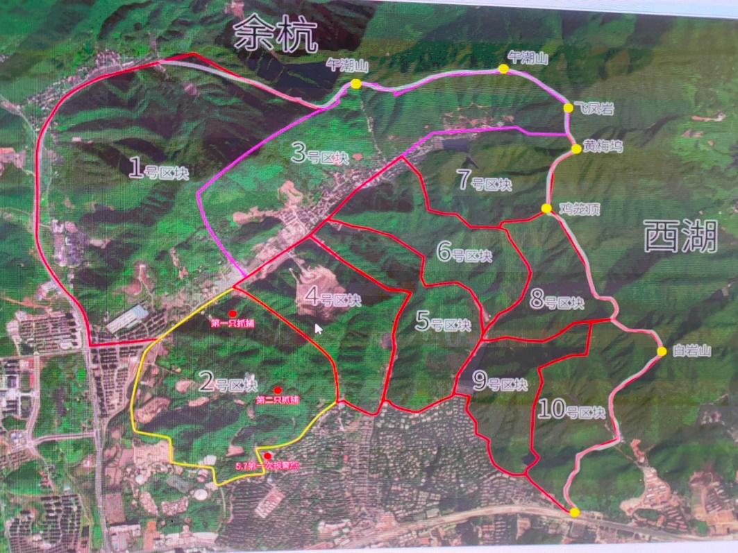 杭州金钱豹出逃最后一只找到了没,杭州金钱豹出逃最新视频