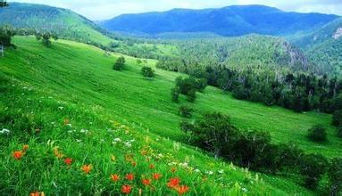 语文知识佳句大全,语文知识唯美句子