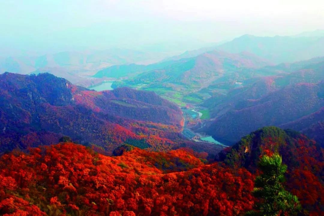 沈阳10月新闻,2018年12月11日沈阳新闻