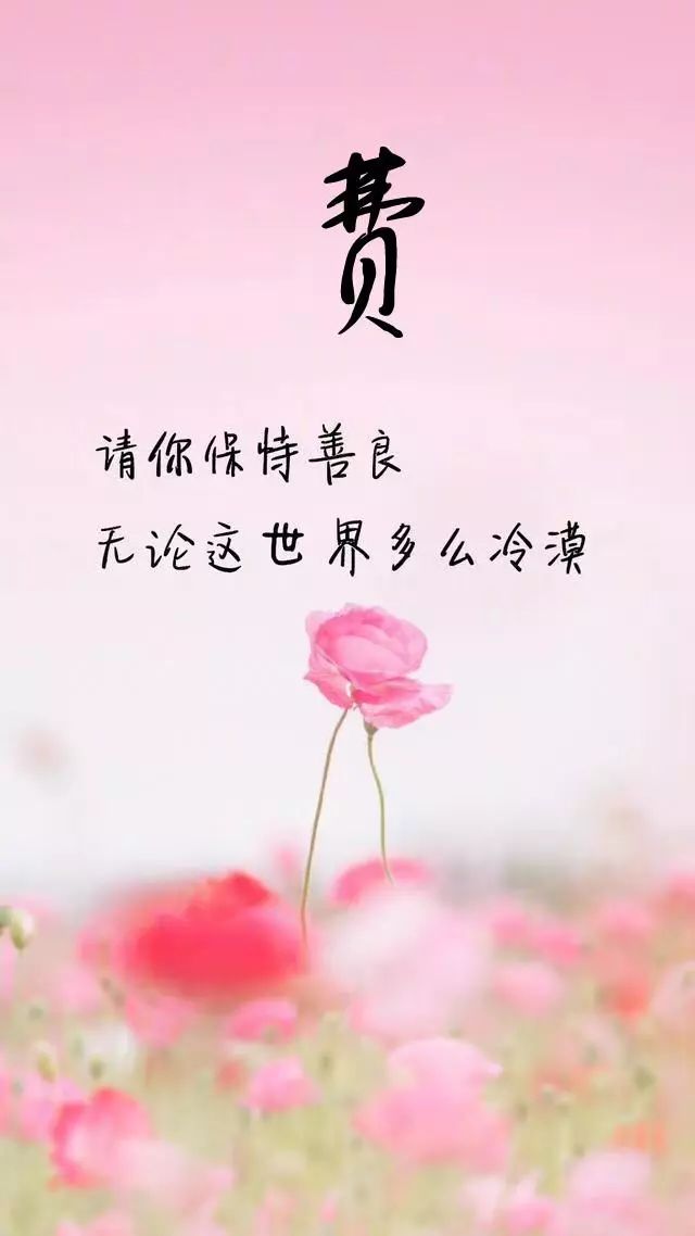 珠宝翡翠艺术字体,翡翠字体图片欣赏