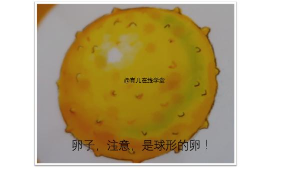 女性卵巢早衰的调理方法,卵巢早衰不来例假怎么办50岁