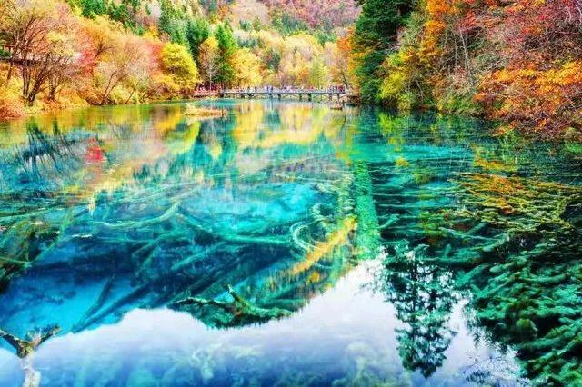 不伤眼睛显示器调整最佳参数,什么显示器保护眼睛