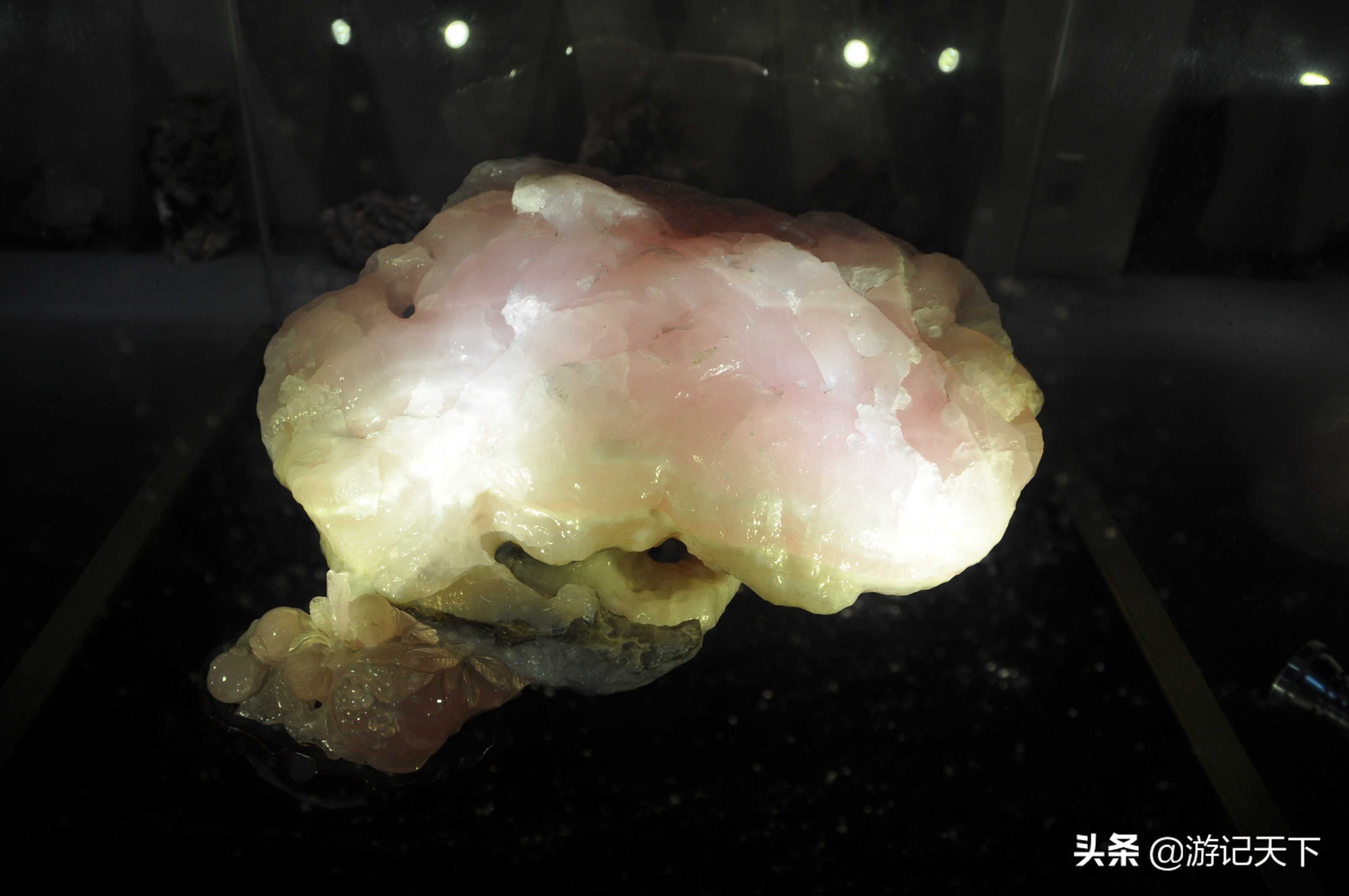 阿尼亚参观博物馆,上海地质科普馆游玩