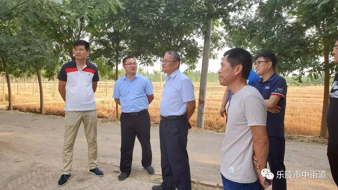 重点工作周报,街道工作周报