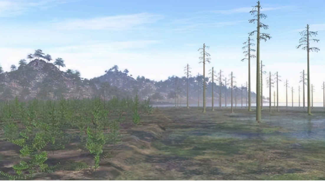 最古老花朵化石,远古花朵化石