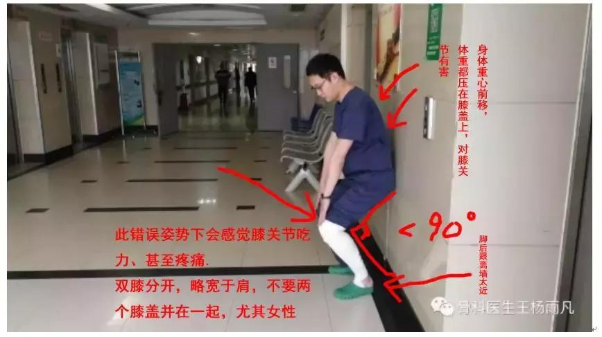 关于膝盖半月板的讲解视频,膝关节半月板解读