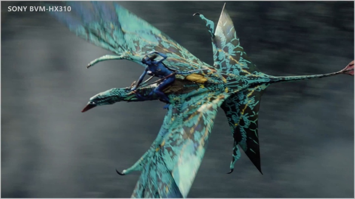 小米大师系列4k测评,小米大师和雷鸟哪个好