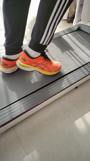 在家也能好好健身,宅在家也能健身