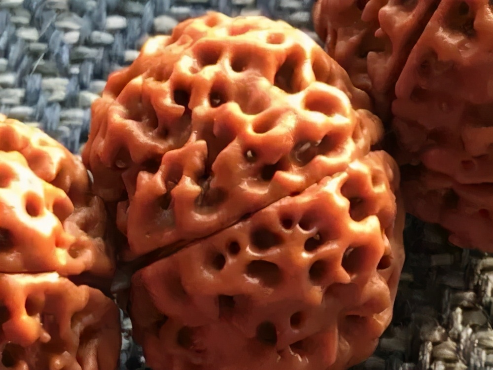 金刚菩提新手如何避坑,买金刚菩提如何避坑