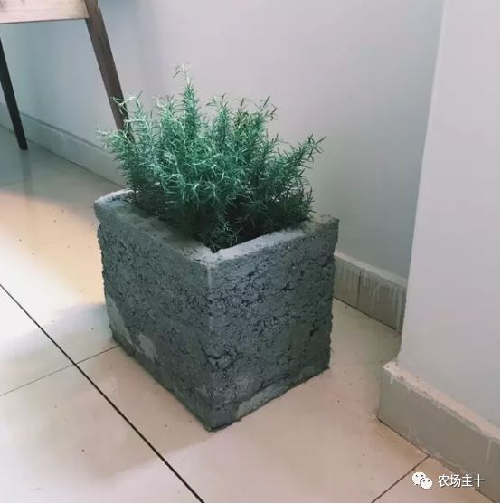 总共花了不到700元改造的废弃小院,花4万改造房子