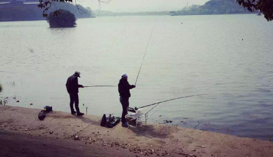钓草鱼飞铅调漂的正确方法,半飞铅钓法怎么调漂全过程