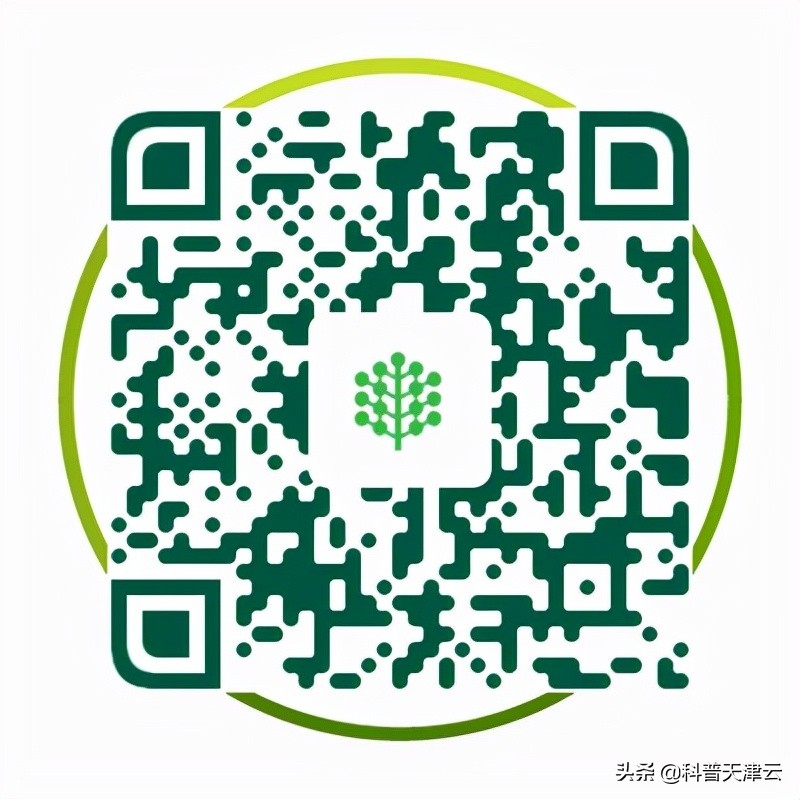 如何正确修剪儿童指甲,你知道指甲隐藏的秘密吗