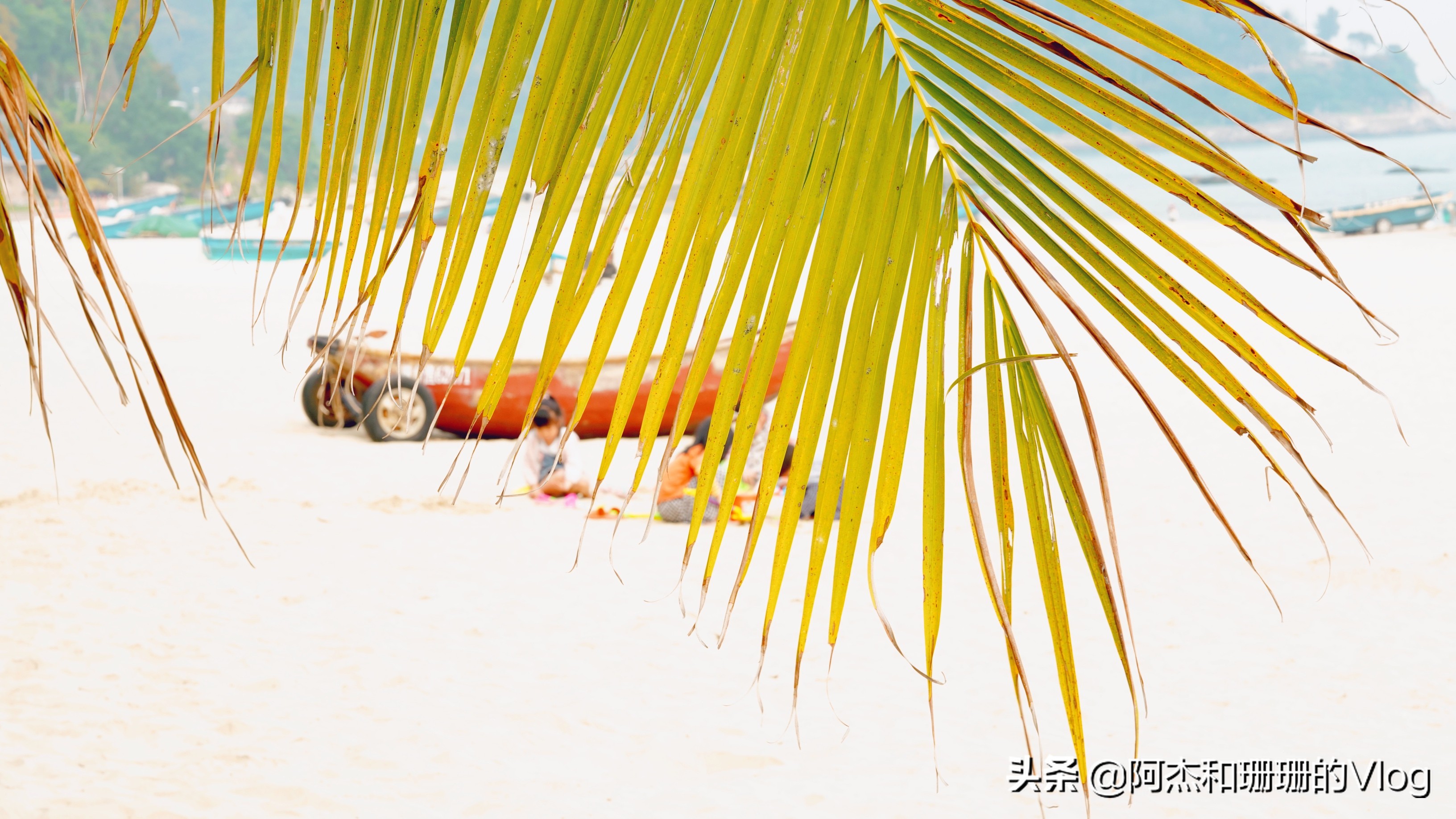 台山下川岛旅游攻略3日游,台山下川岛一夜自驾游