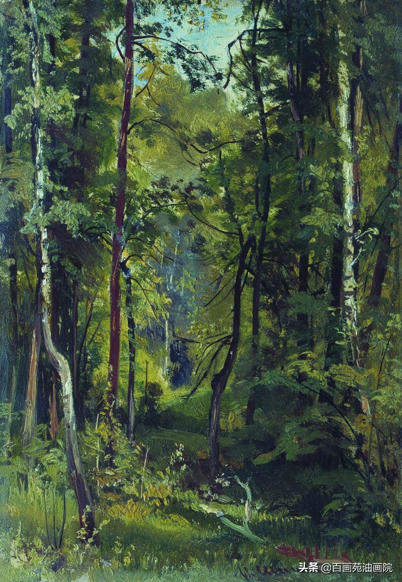 简单油画初学者画树,油画画树叶丛的技巧