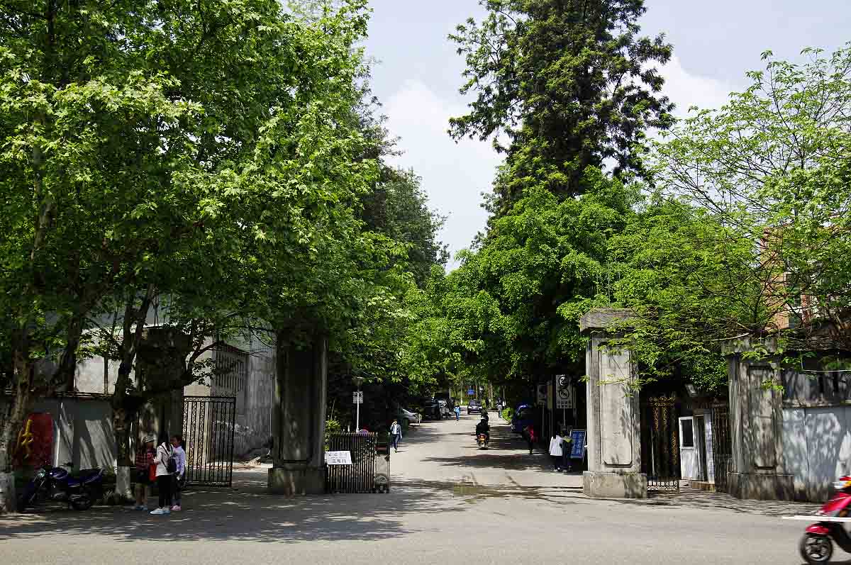 西南大学要考多少分能录取,如果想考进西南大学需要考多少分