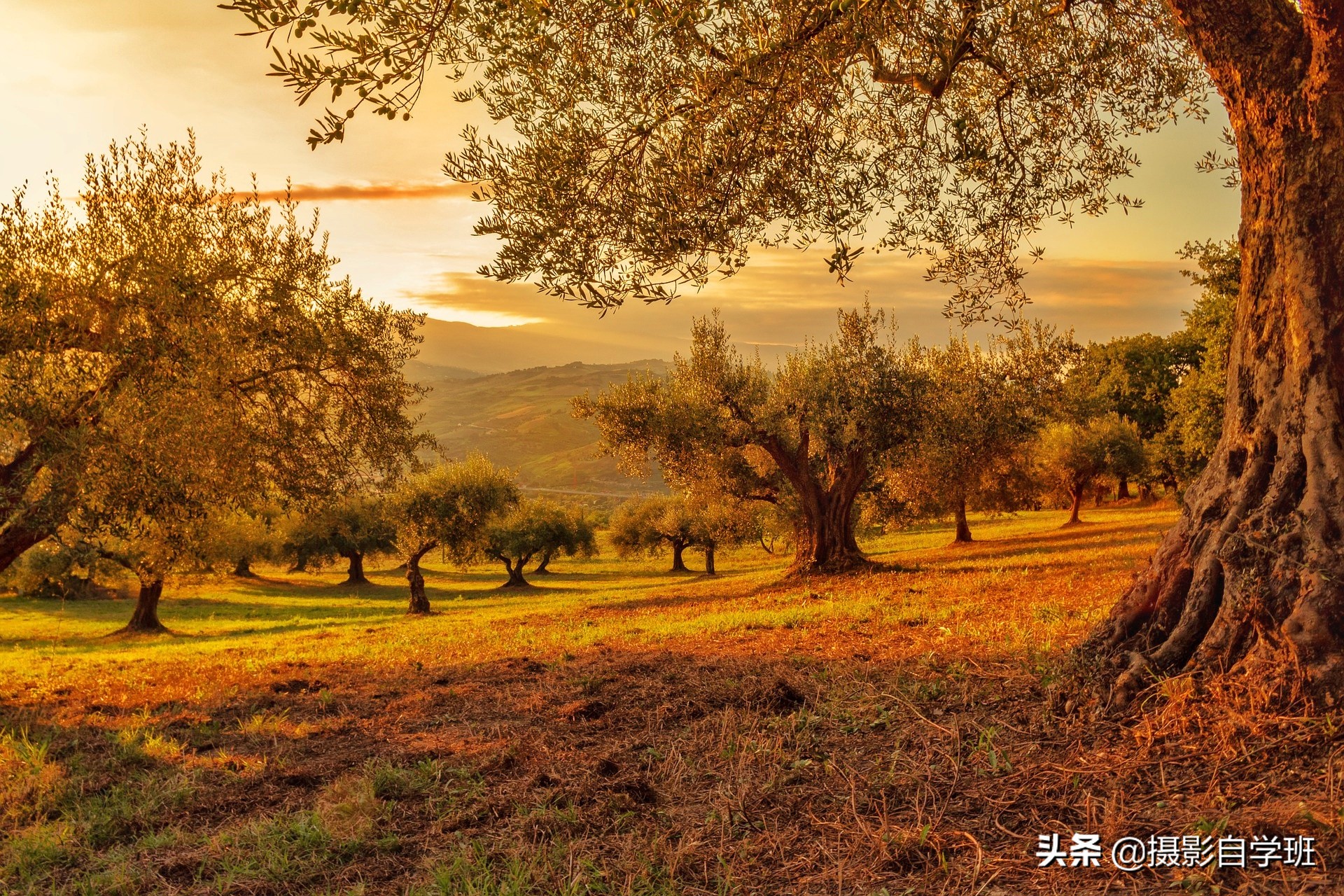 风景摄影技巧超实用,风景摄影拍摄技巧