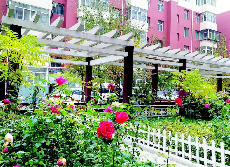 太原西山老院子,太原学府街老院子