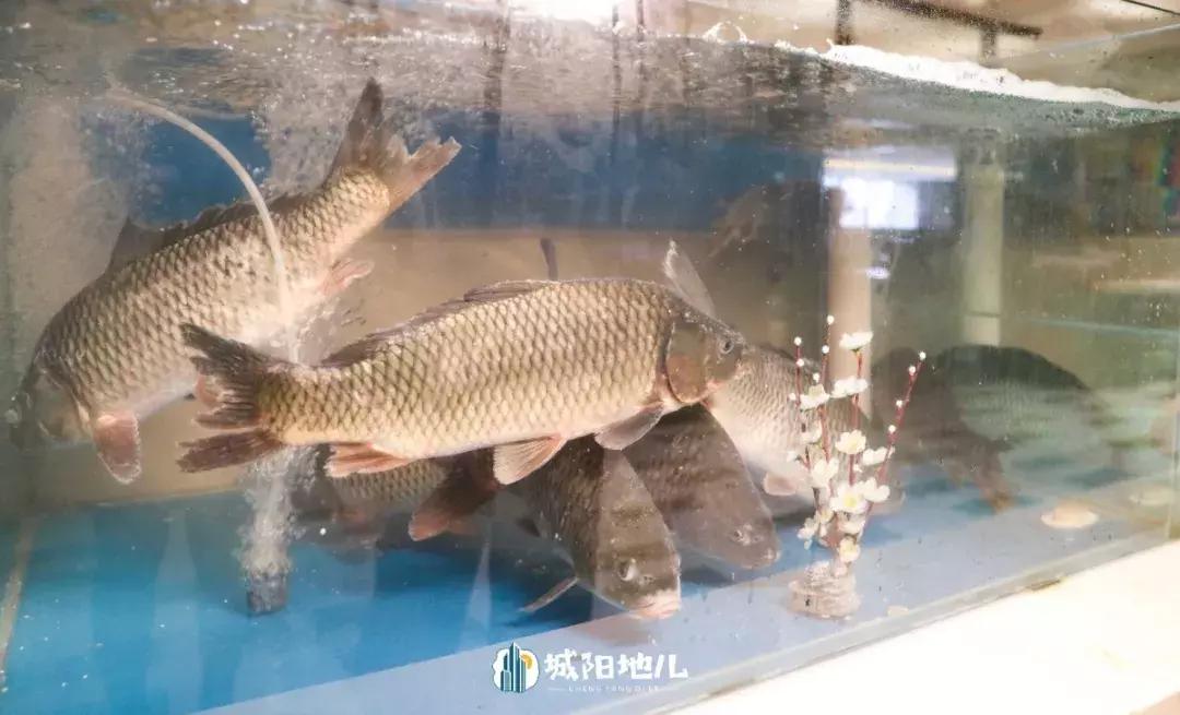 人均不到300的自助餐厅四星级酒店,海鲜自助高性价比酒店推荐