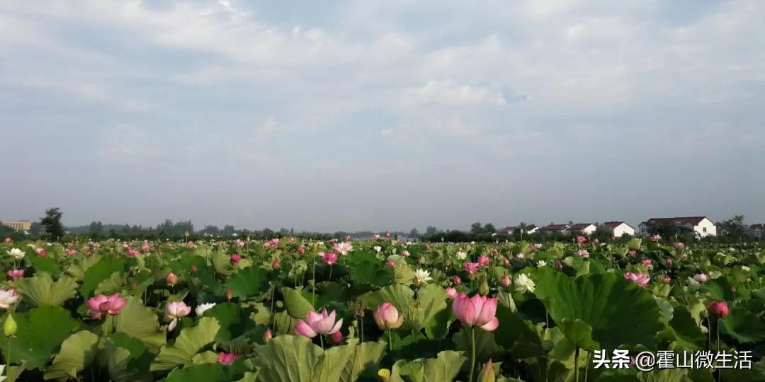 安徽霍山旅游景区第一视角,安徽霍山旅游推荐