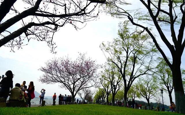 中国308家5a级景区最新最全清单,最新全国5a级景区全部名单