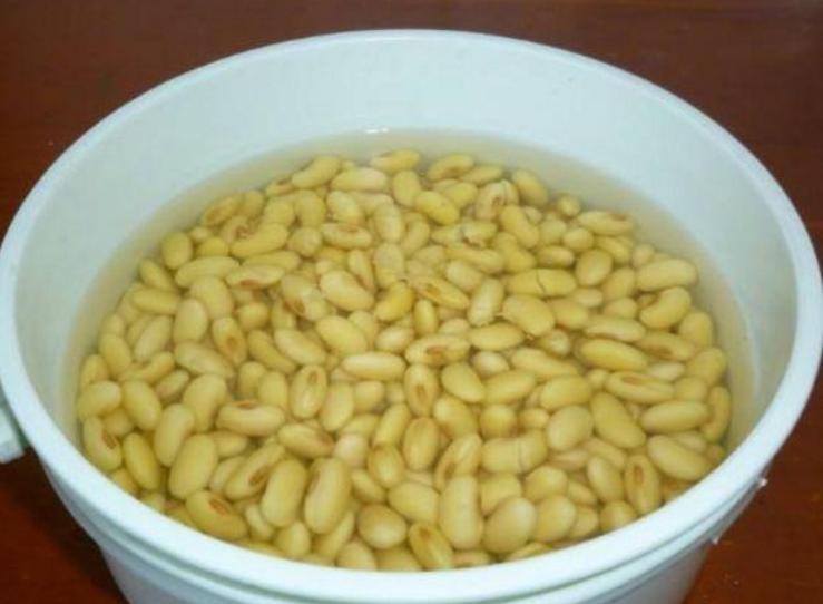 绿萝这么养不烂根不黄叶爆长新叶,养绿萝要多长时间浇一次水