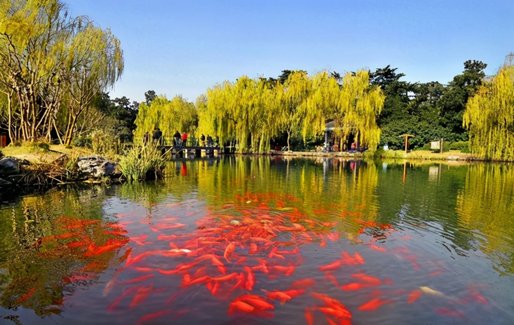 自驾杭州西湖旅游全攻略,杭州西湖旅游全攻略费用