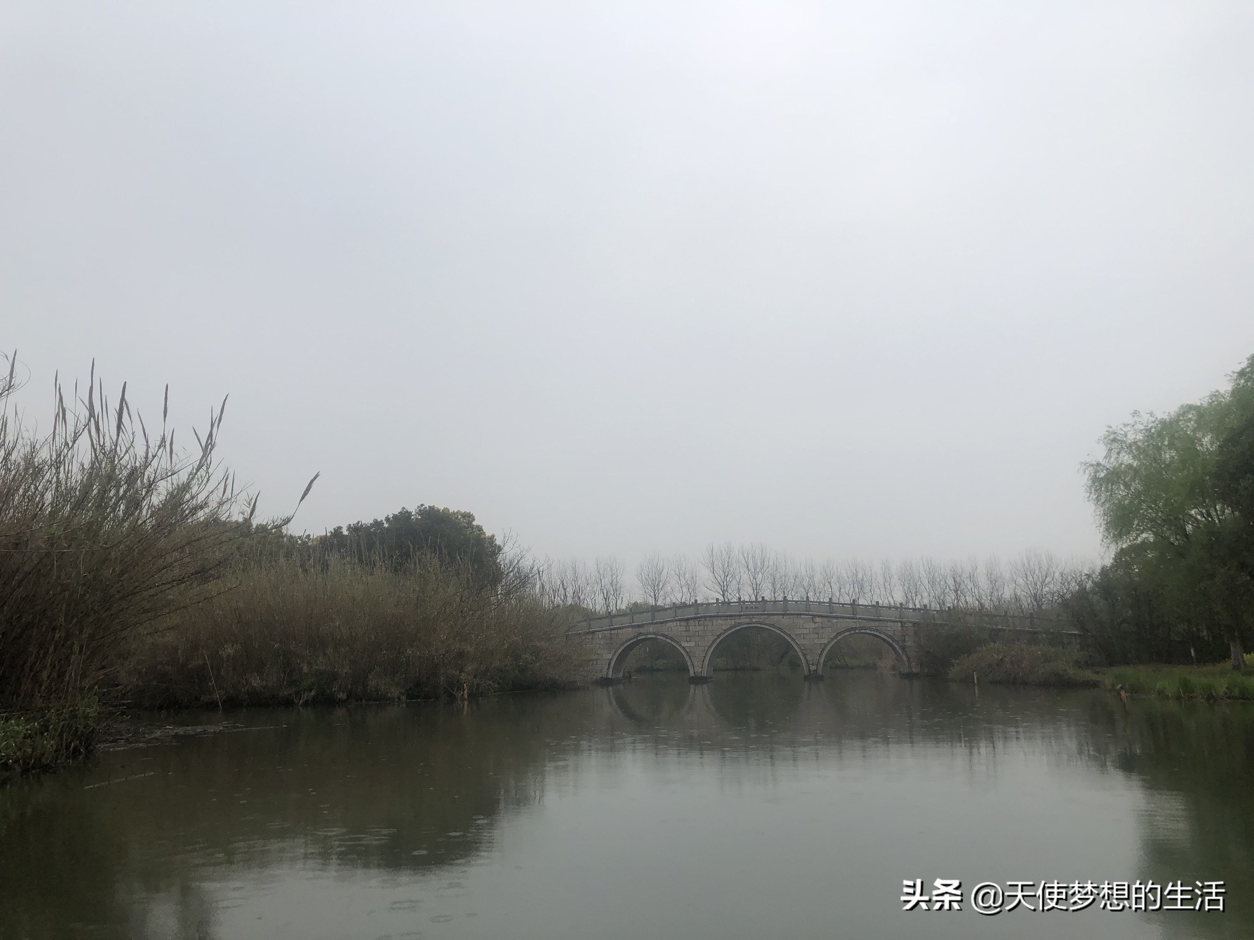 苏州常熟沙家浜有什么好玩的,常熟沙家浜芦苇荡