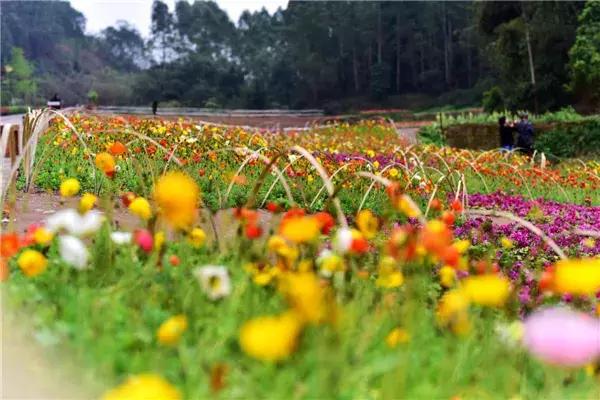 乐山大佛为何不属于石窟,乐山不止有大佛还有美食