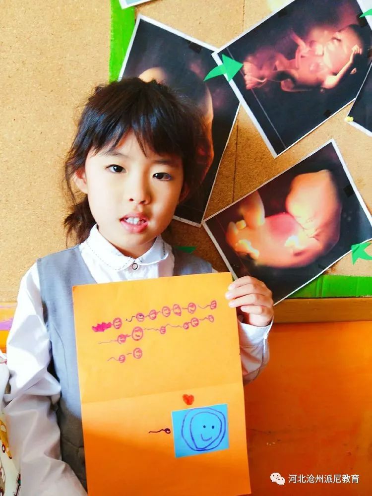 身体大揭秘动画,身体大揭秘