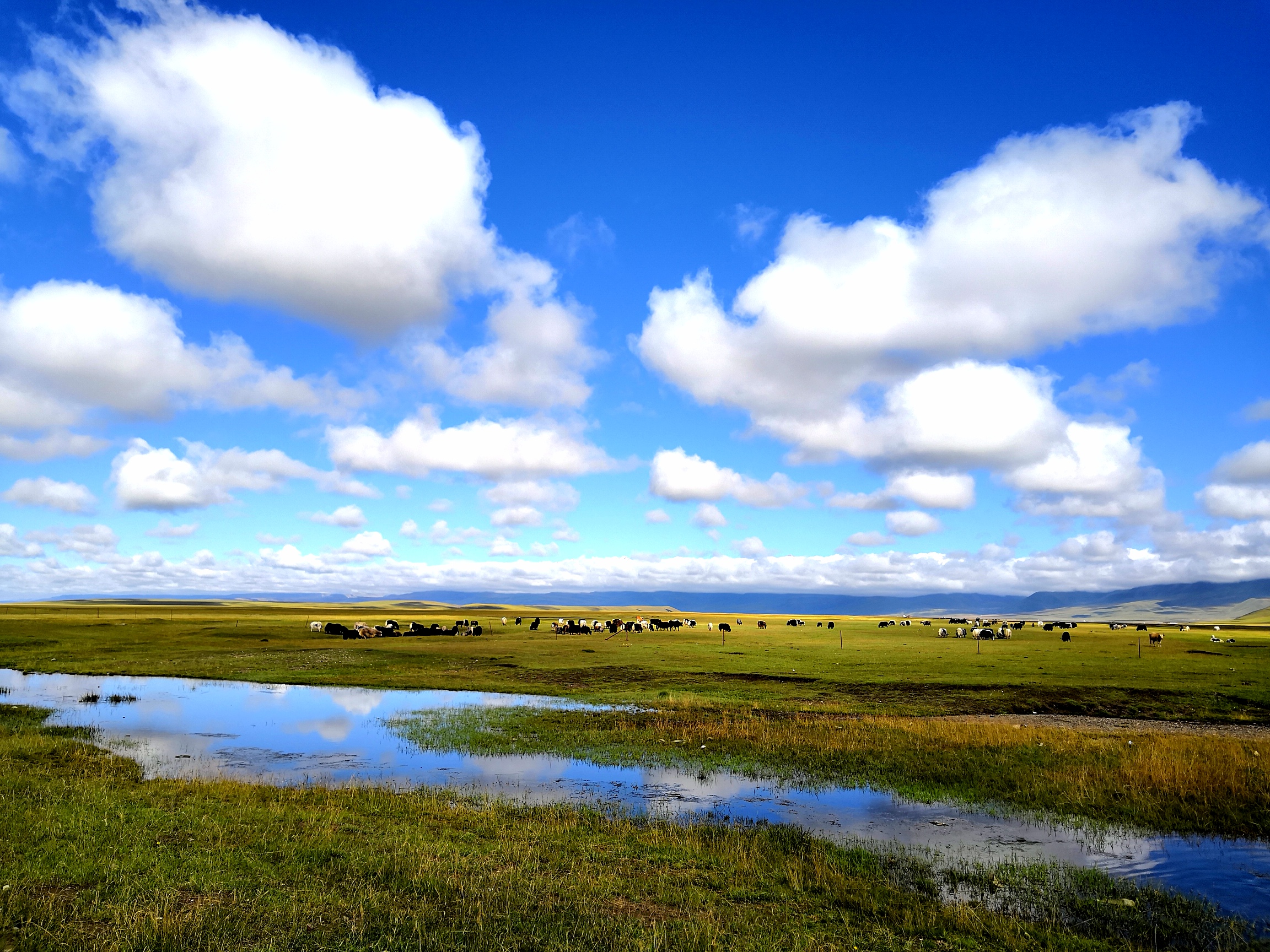 南疆游最佳旅游线路费用,南疆的旅游地点