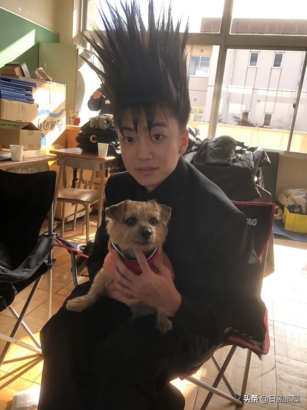 伊藤健太郎交通事故,伊藤健太郎肇事逃逸