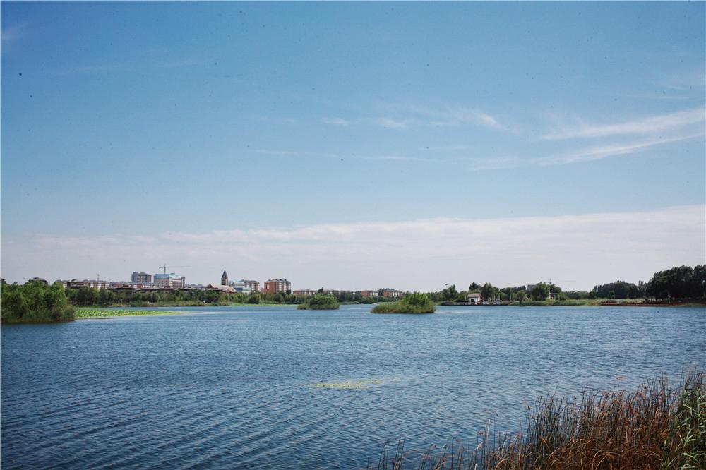 如果有一天我将老去英文歌,如果有一天我将老去女生版