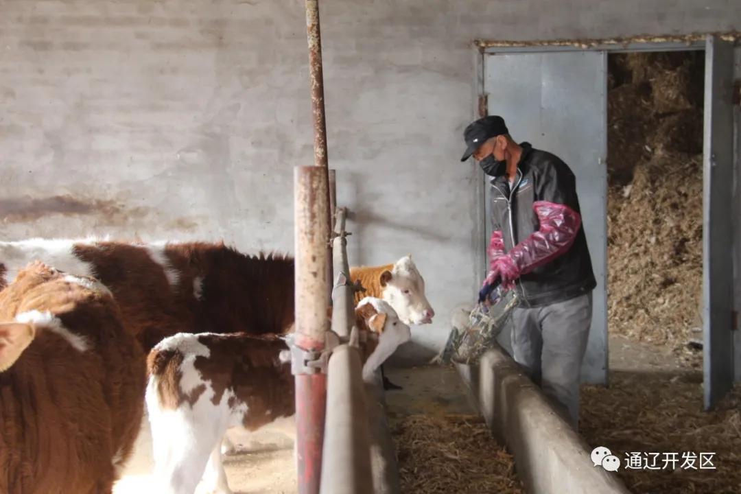 春色最浓在田间种植养殖齐发展