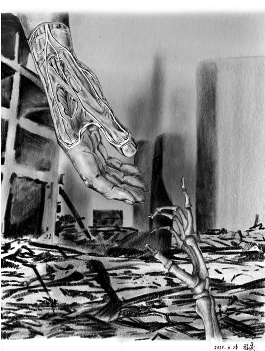 生命的故事绘本电子版,生命的故事图片