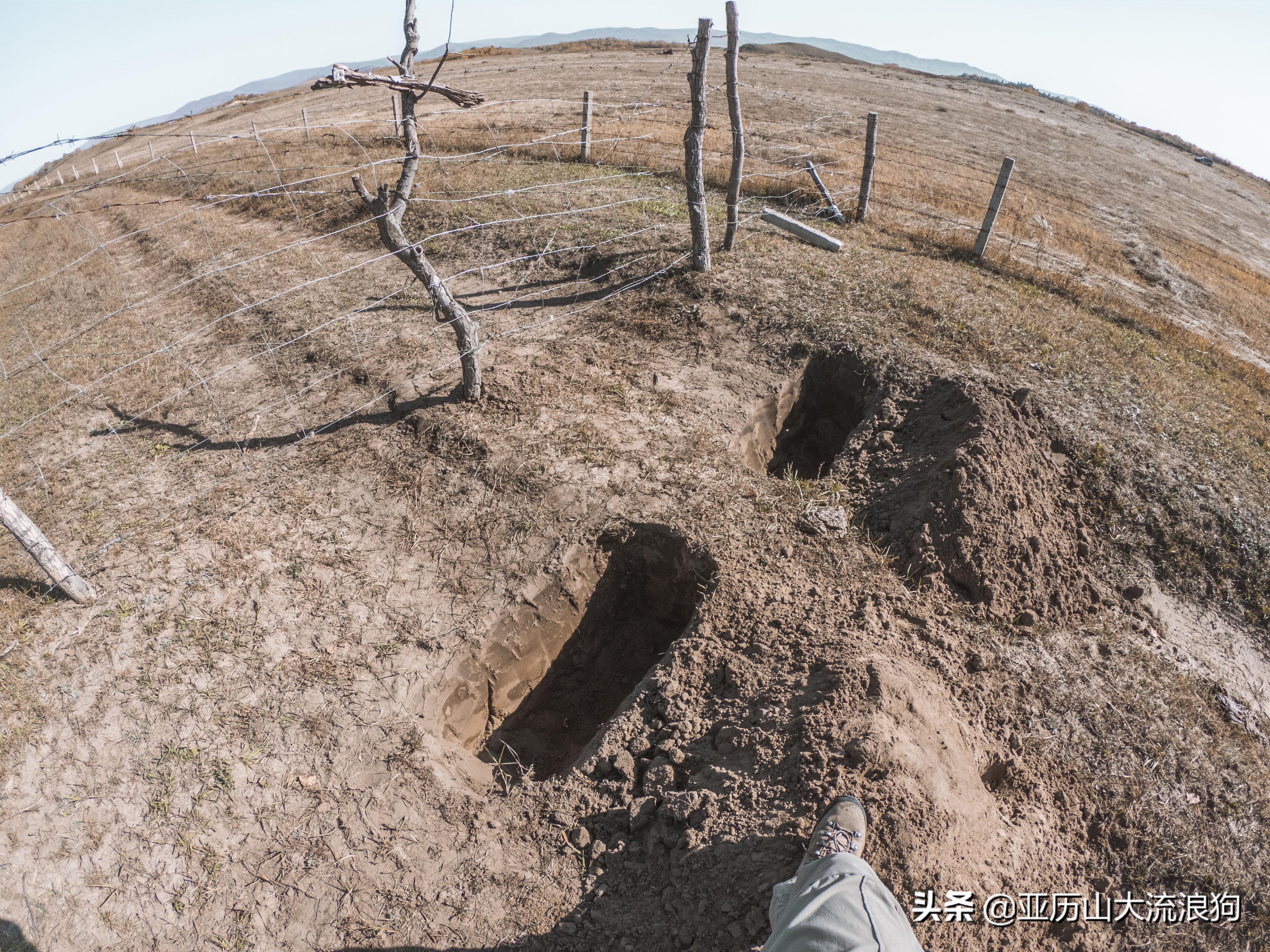 你那秋天来了吗？我这反正颜料泼了一地——内蒙古黄岗梁穿越之旅