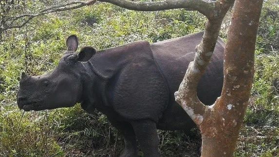 尼泊尔真实的生活现状,尼泊尔背后的真实生活